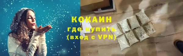 PSILOCYBIN Белокуриха