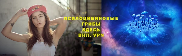 PSILOCYBIN Белокуриха