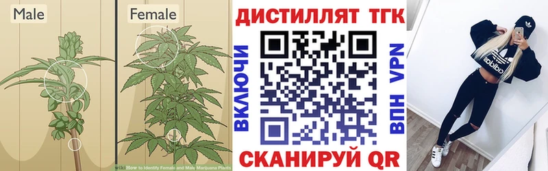 Дистиллят ТГК жижа Кушва