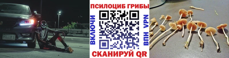 купить наркоту  Кушва  Галлюциногенные грибы Magic Shrooms 
